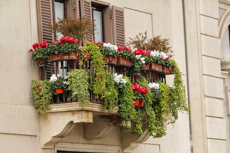 Balconi e terrazzi fioriti: idee e consigli